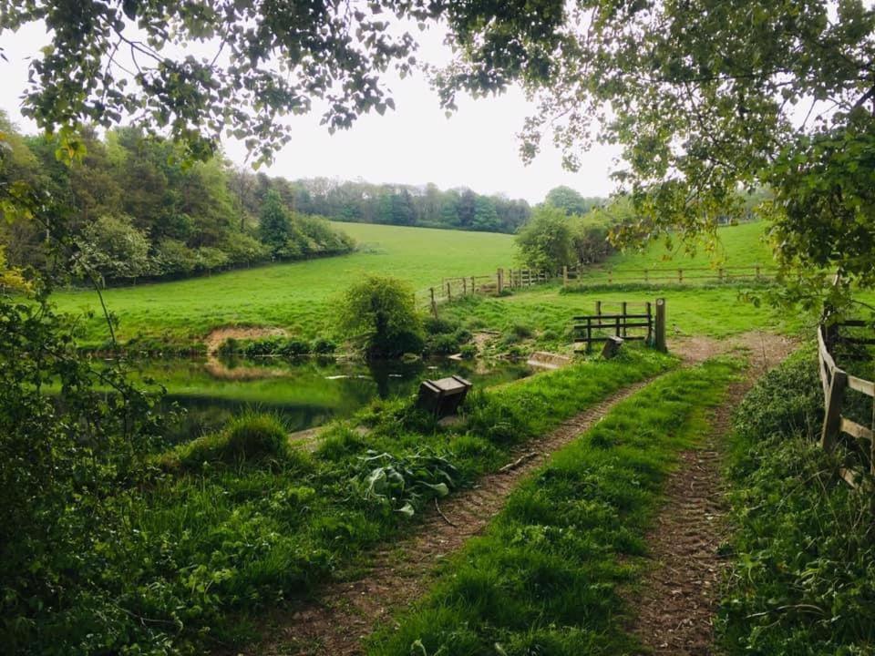 Welton  Holly Cottage, Hidden Gem In The Yorkshire Wolds מראה חיצוני תמונה